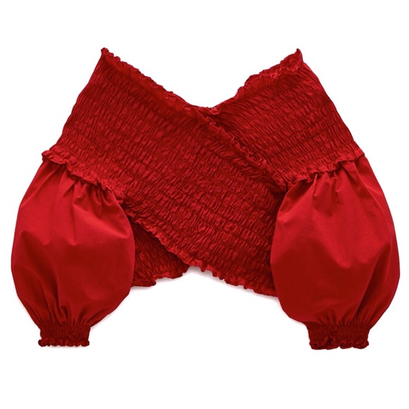 Zara Cropped Elastic Detail with Poof Sleeve NWT M - Picture 2 of 7